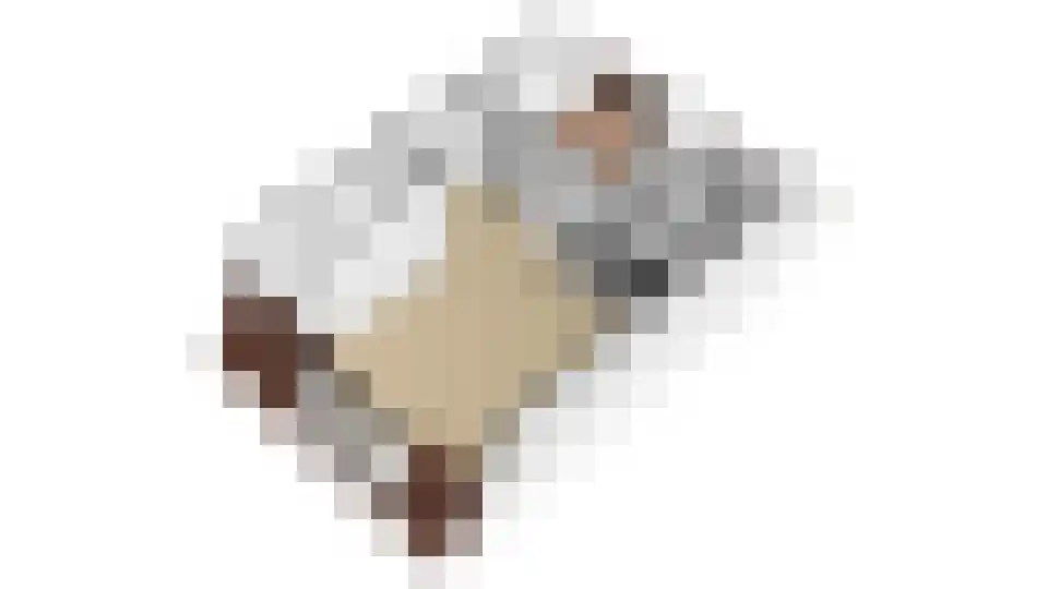 de Ververt 1268 Wijchen thumbnail 28