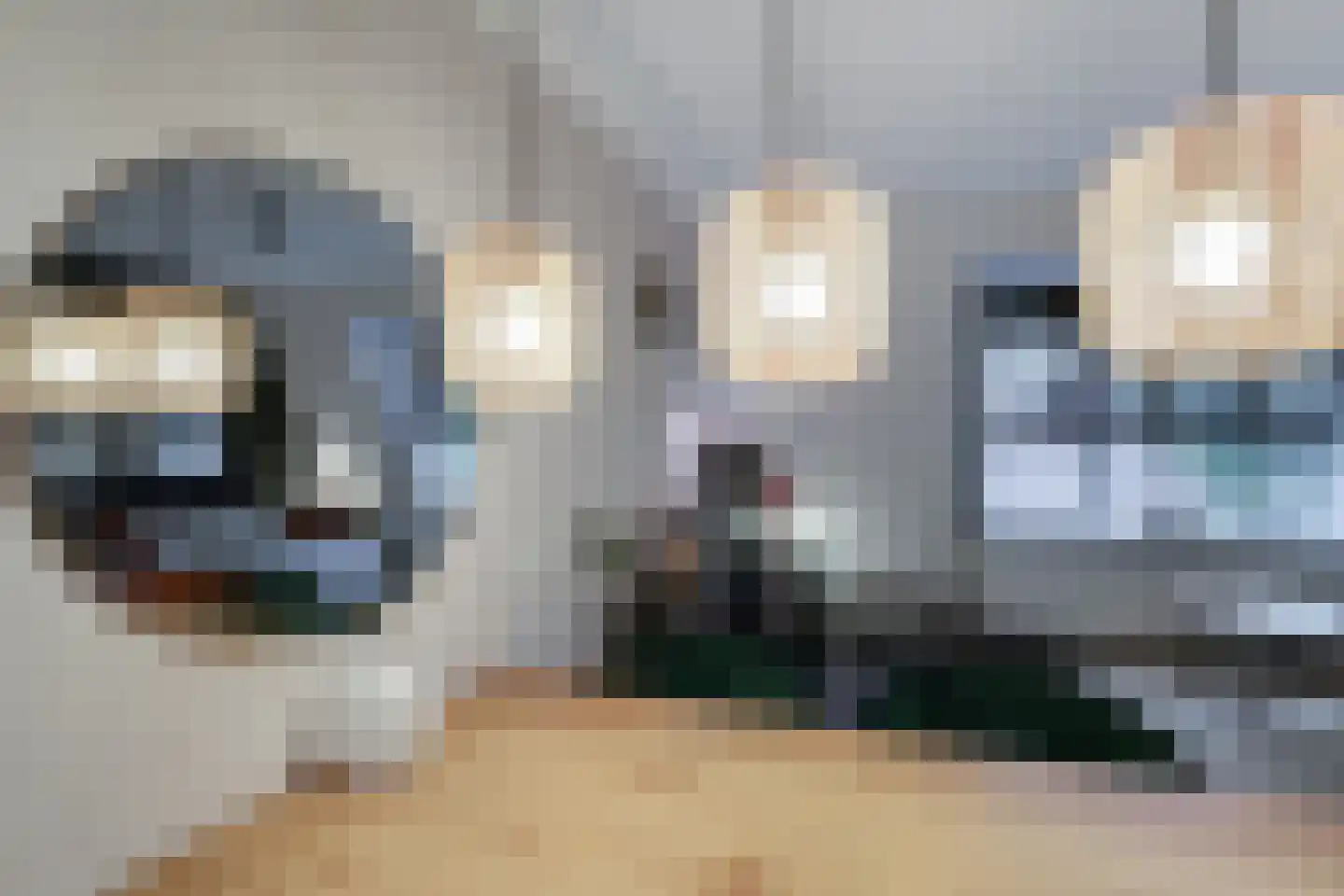 de Ververt 1268 Wijchen thumbnail 9