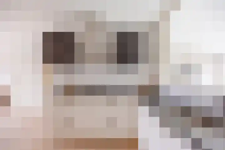 de Ververt 1318 Wijchen thumbnail 10