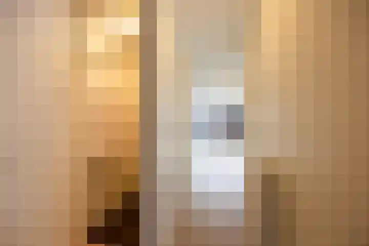 de Ververt 1318 Wijchen thumbnail 12