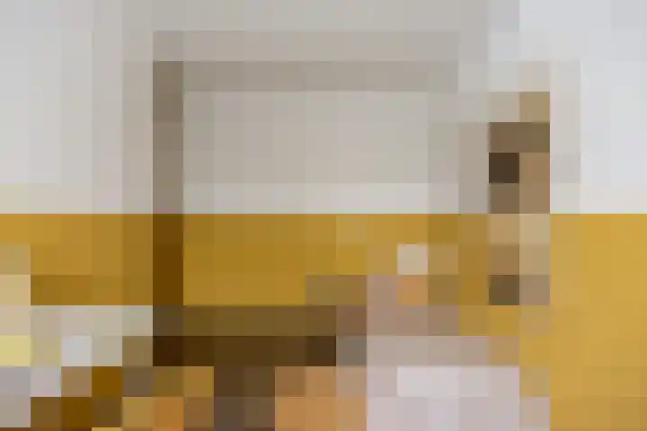 de Ververt 1318 Wijchen thumbnail 26