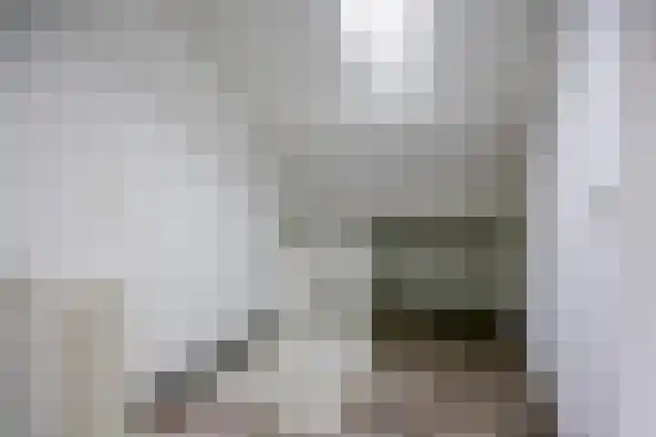 de Ververt 1318 Wijchen thumbnail 30