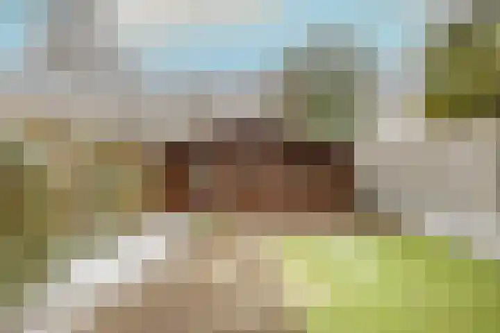 de Ververt 1318 Wijchen thumbnail 34