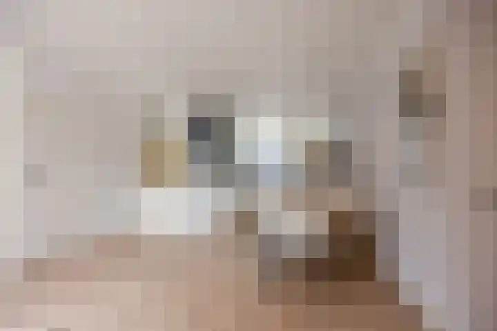 de Ververt 1318 Wijchen thumbnail 5