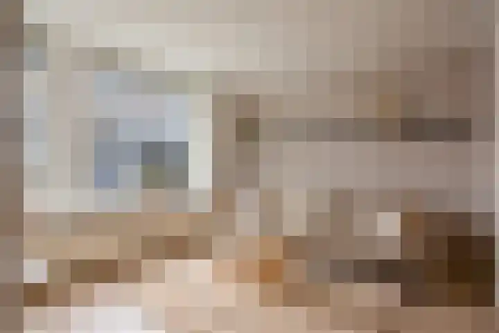 de Ververt 1318 Wijchen thumbnail 7