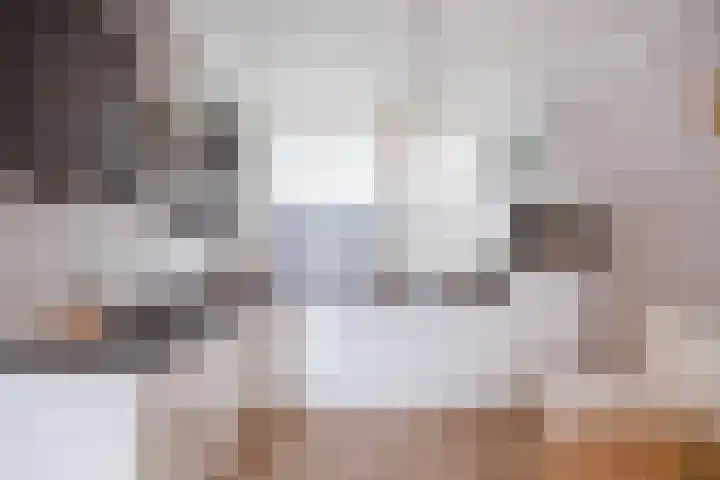 de Ververt 1318 Wijchen thumbnail 9