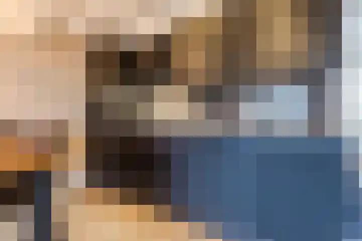 de Ververt 1524 Wijchen thumbnail 10