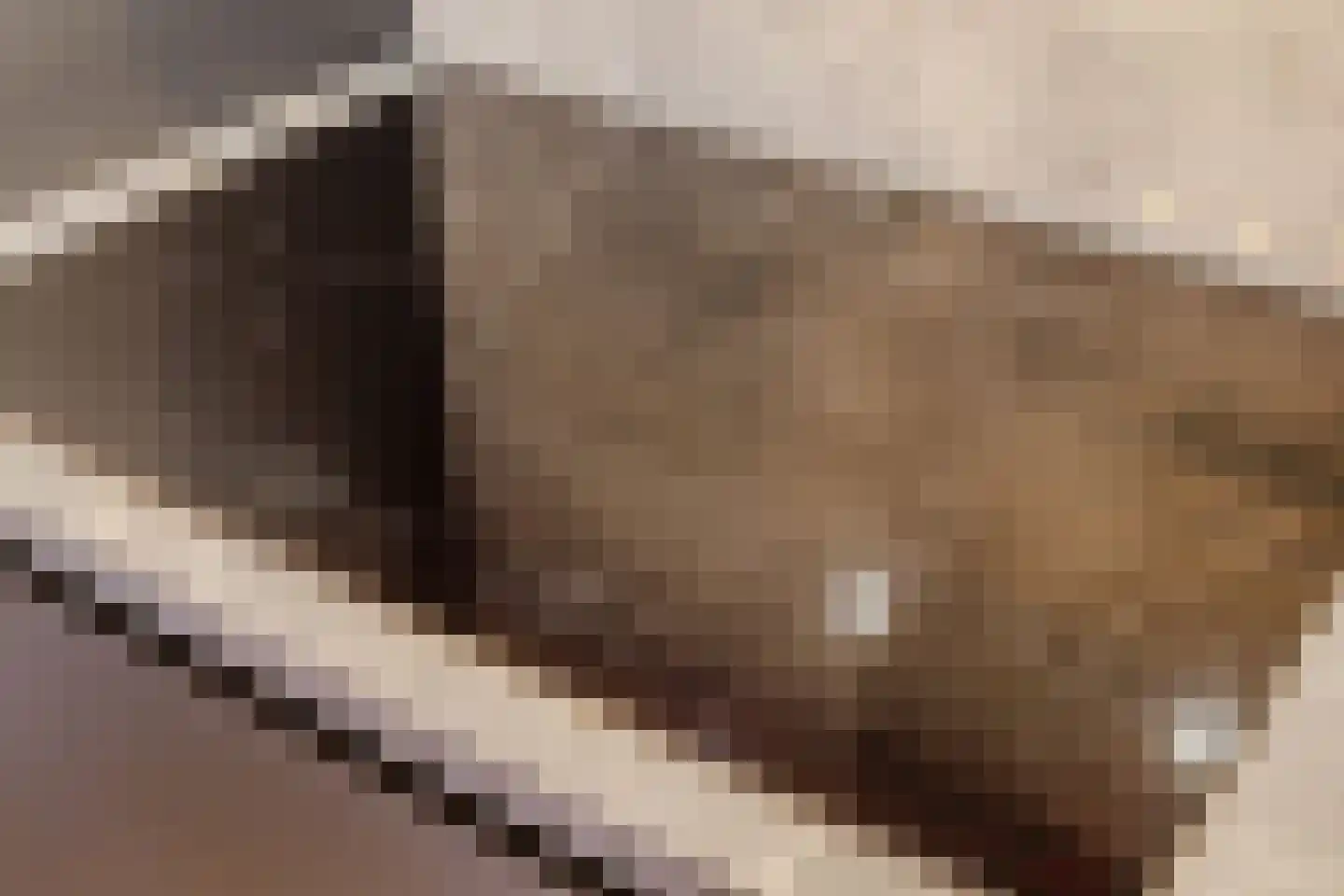 de Ververt 1524 Wijchen thumbnail 12