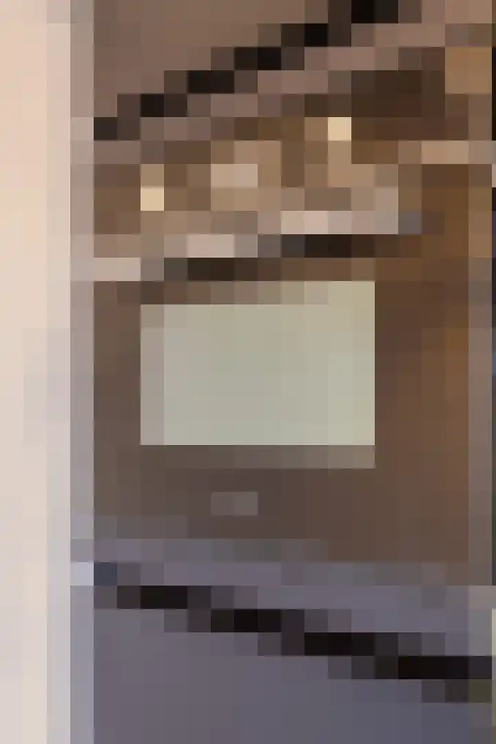de Ververt 1524 Wijchen thumbnail 14