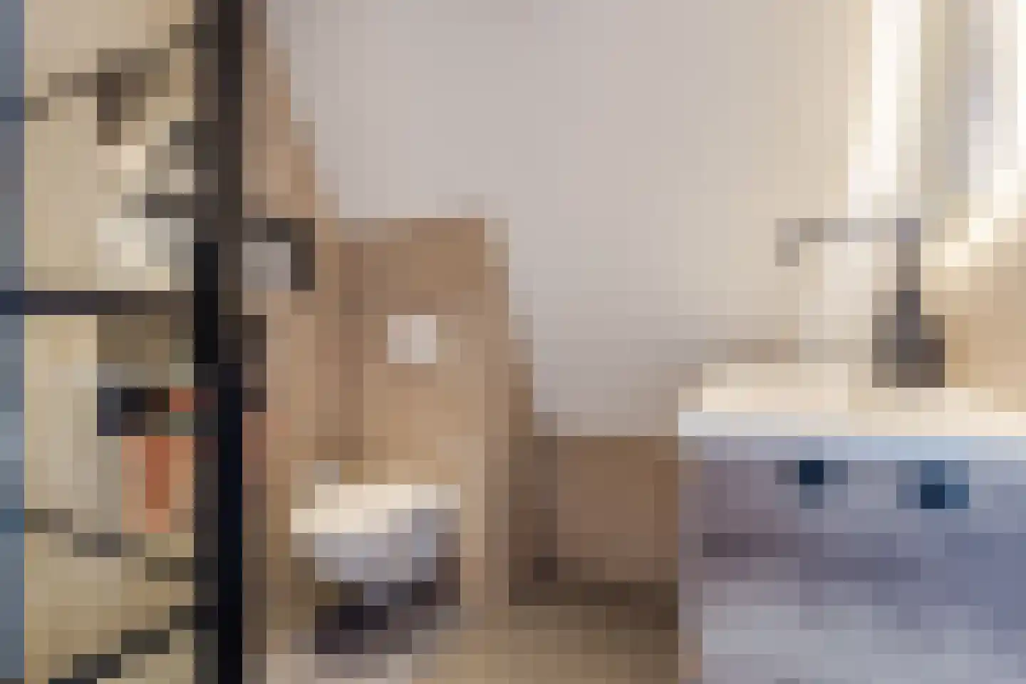 de Ververt 1524 Wijchen thumbnail 19