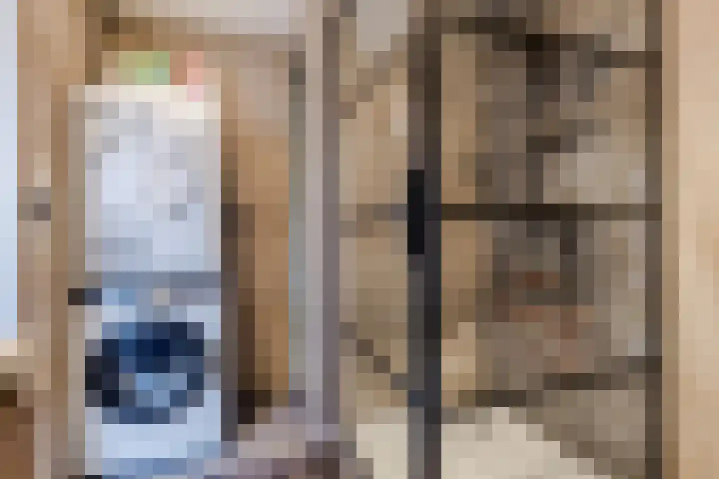 de Ververt 1524 Wijchen thumbnail 20