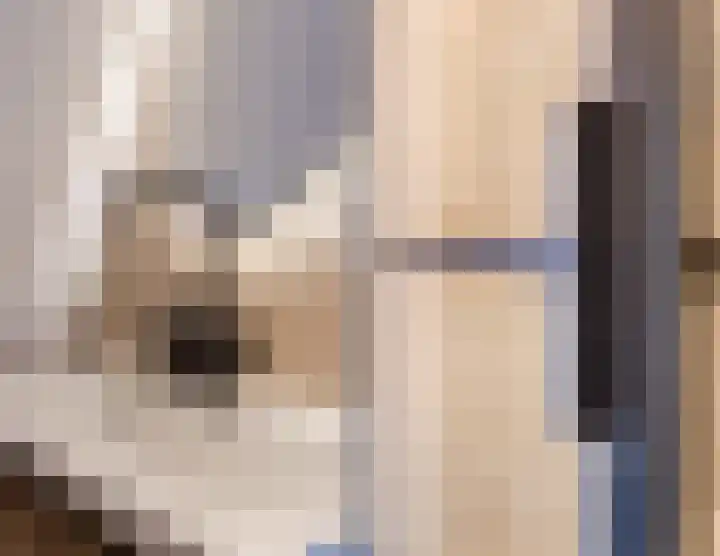 de Ververt 1524 Wijchen thumbnail 22