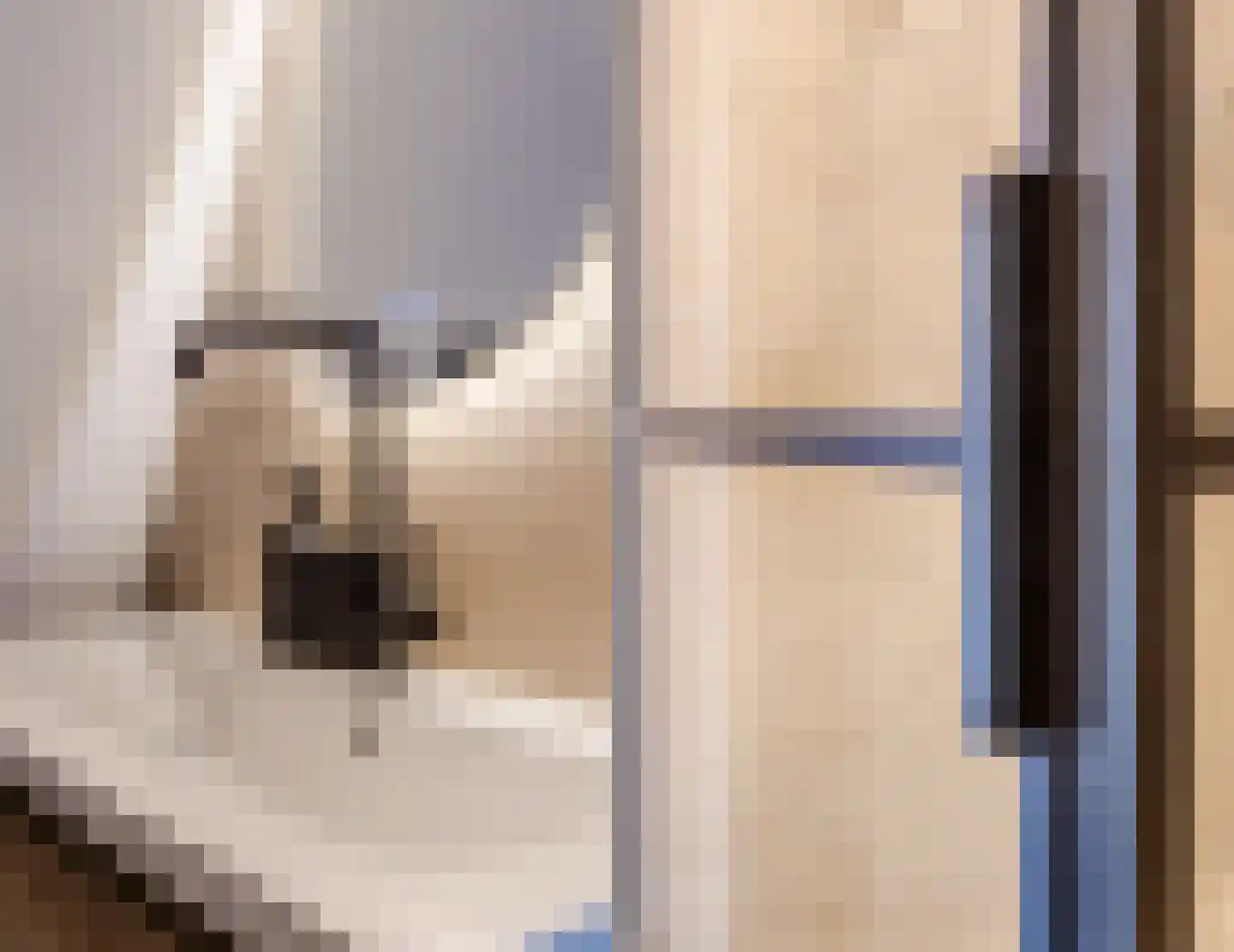 de Ververt 1524 Wijchen thumbnail 22