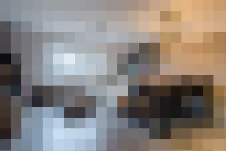 de Ververt 1524 Wijchen thumbnail 6