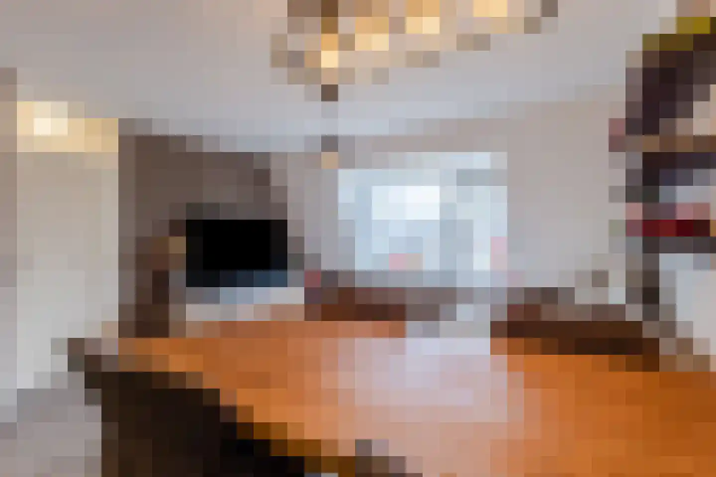 de Ververt 1524 Wijchen thumbnail 7