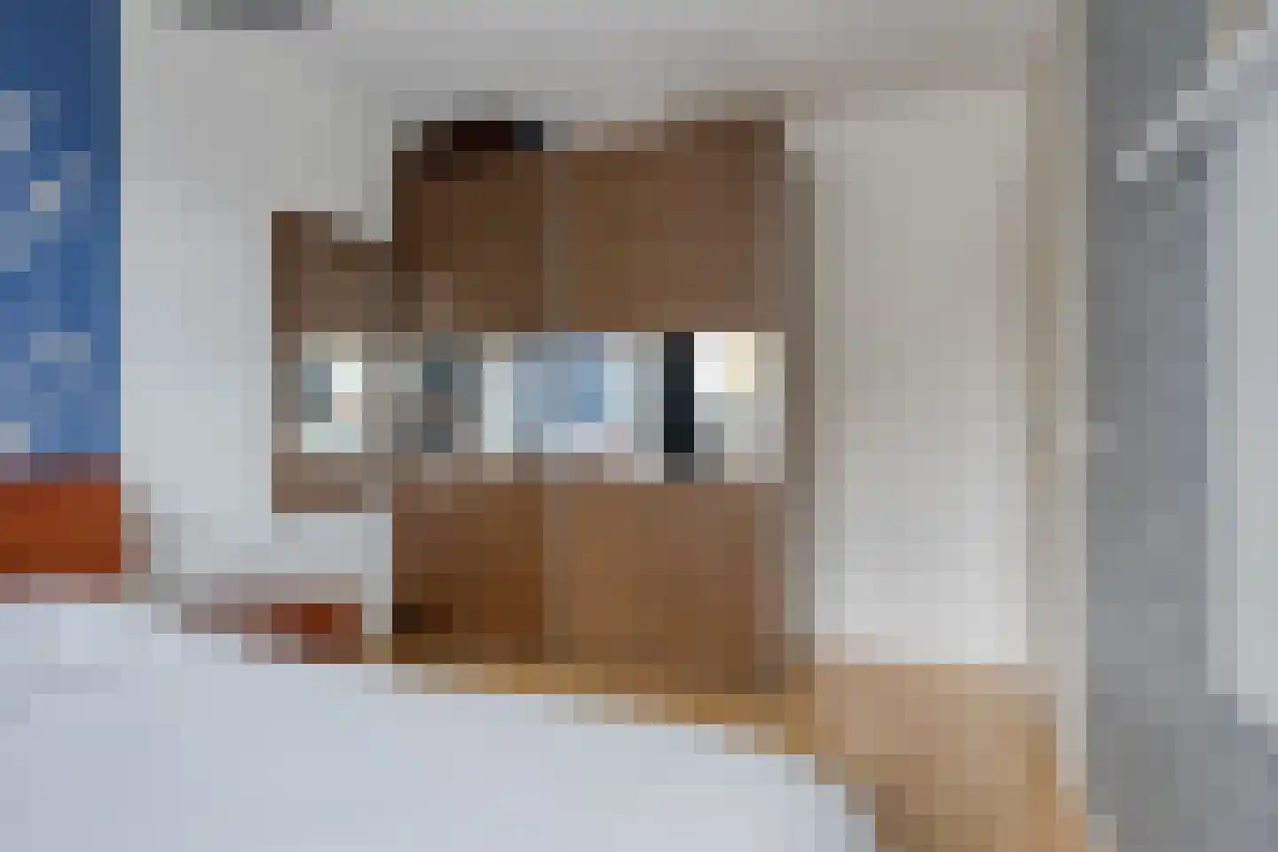 de Ververt 1554 Wijchen thumbnail 16