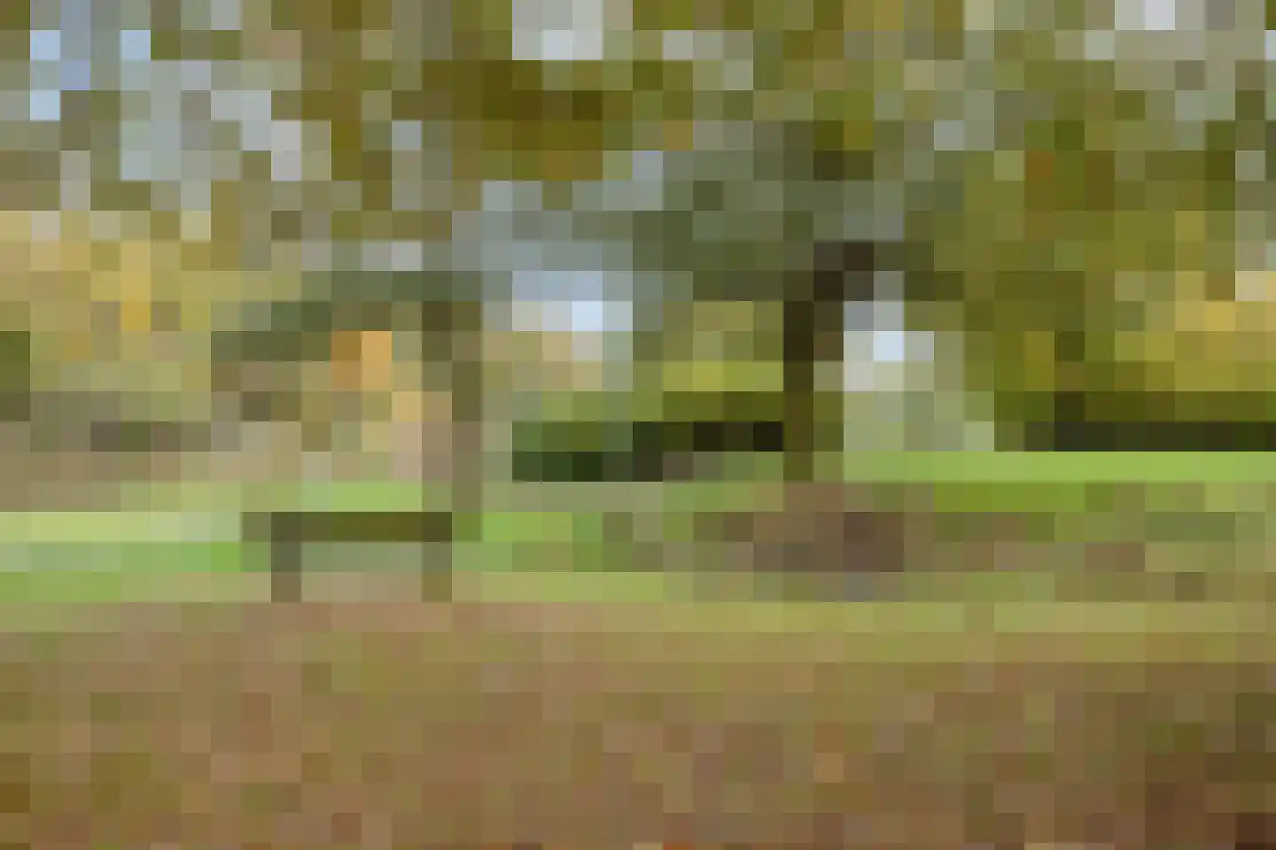 de Ververt 1554 Wijchen thumbnail 28
