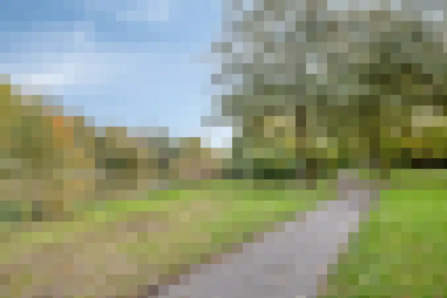de Ververt 1554 Wijchen thumbnail 29