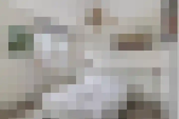 De Verwondering 1 Amersfoort thumbnail 14