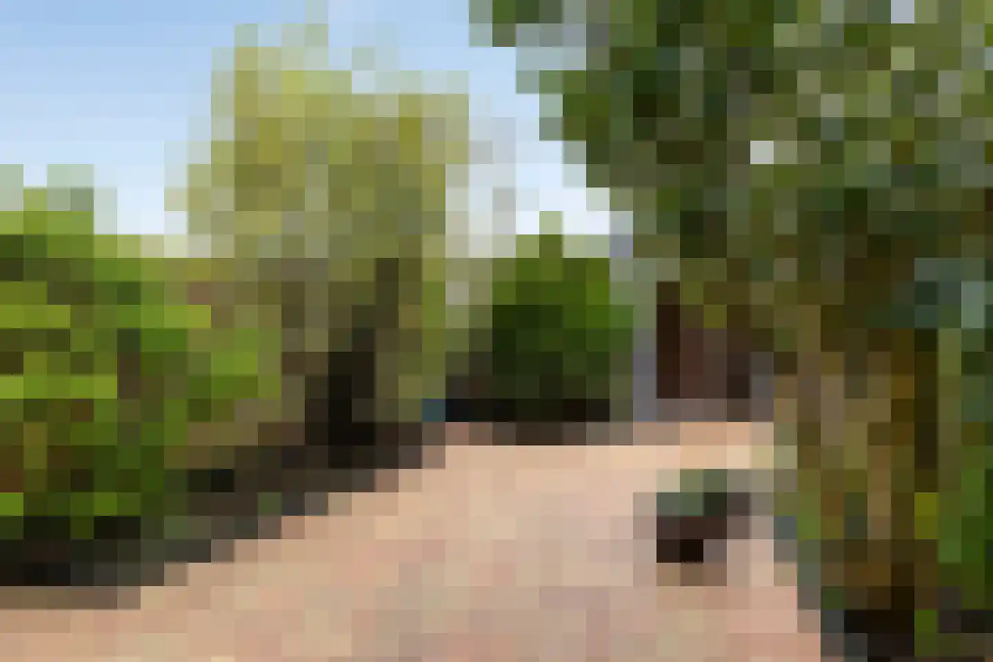 De Verwondering 1 Amersfoort thumbnail 22