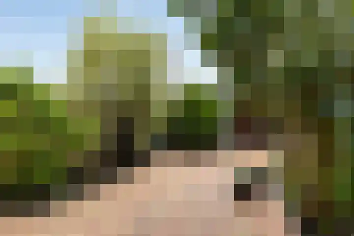 De Verwondering 1 Amersfoort thumbnail 22