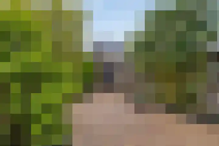 De Verwondering 1 Amersfoort thumbnail 23
