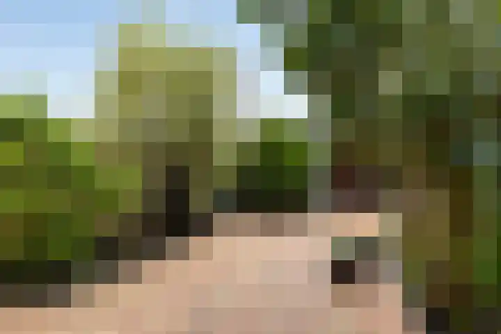 De Verwondering 1 Amersfoort thumbnail 4