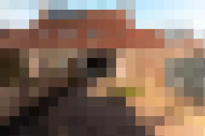 De Veste 10 10 11 Lelystad thumbnail 34
