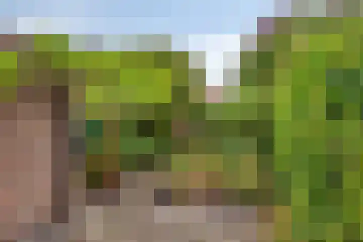 De Veste 11 11 8 Lelystad thumbnail 34