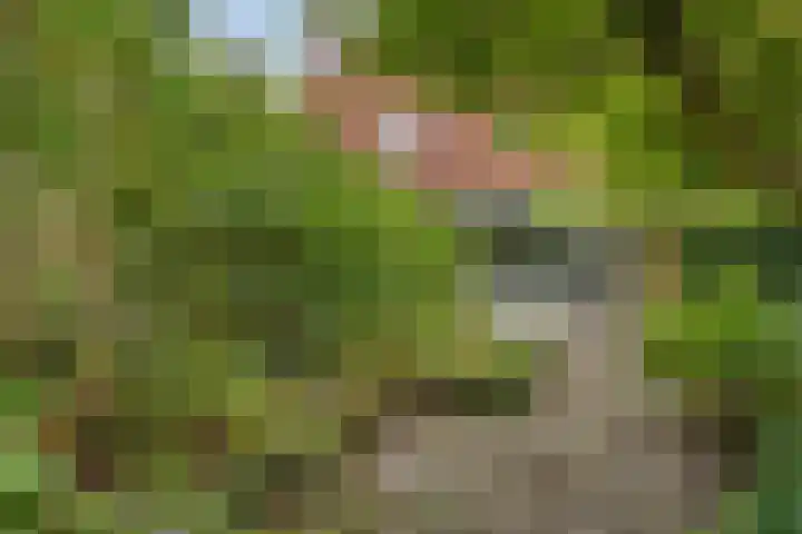 De Veste 11 11 8 Lelystad thumbnail 38