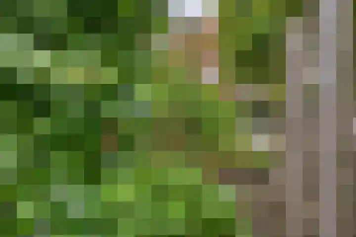 De Veste 11 11 8 Lelystad thumbnail 39