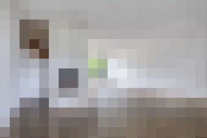 De Veste 11 11 8 Lelystad thumbnail 5