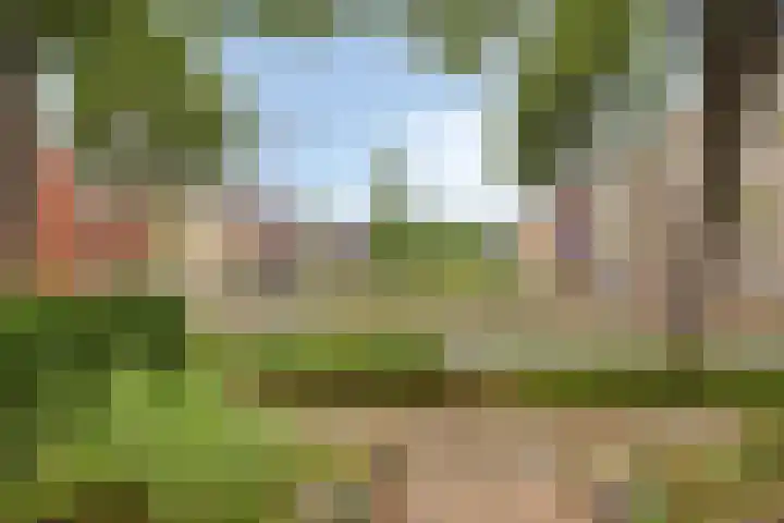 De Veste 11 11 8 Lelystad thumbnail 7