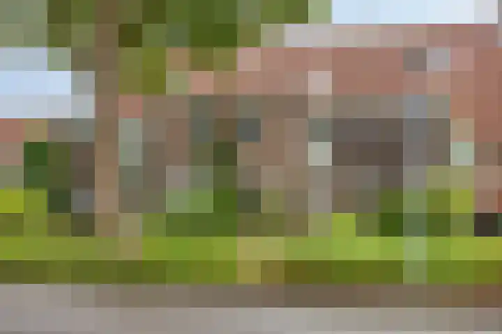 De Veste 11 11 8 Lelystad thumbnail 8