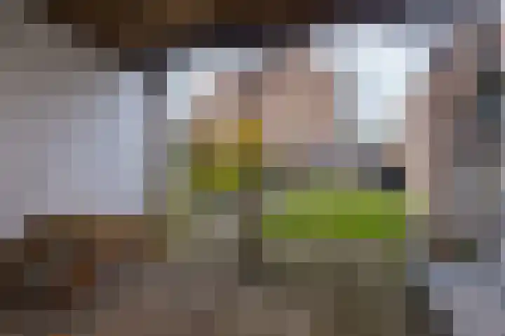 De Veste 11 32 Lelystad thumbnail 11