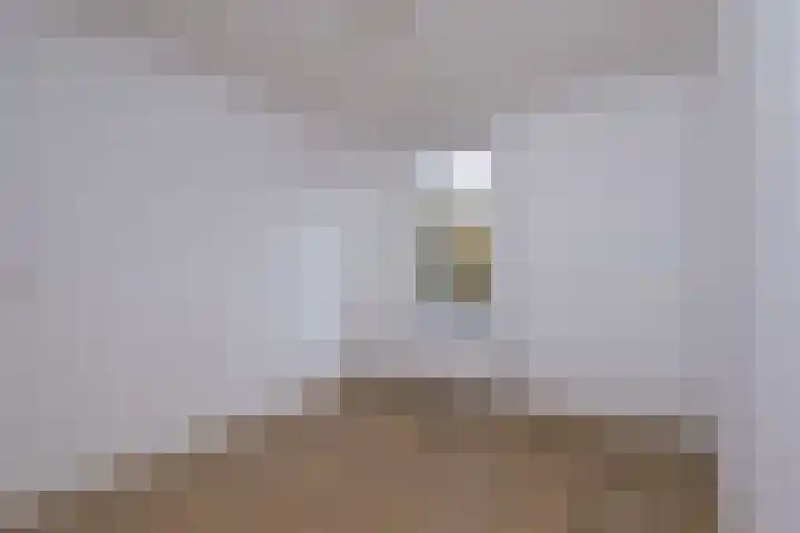 De Veste 11 32 Lelystad thumbnail 19