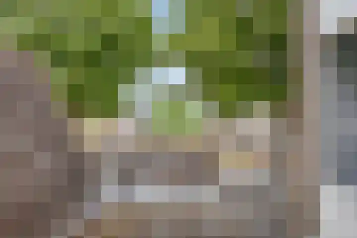 De Veste 11 8 Lelystad thumbnail 21