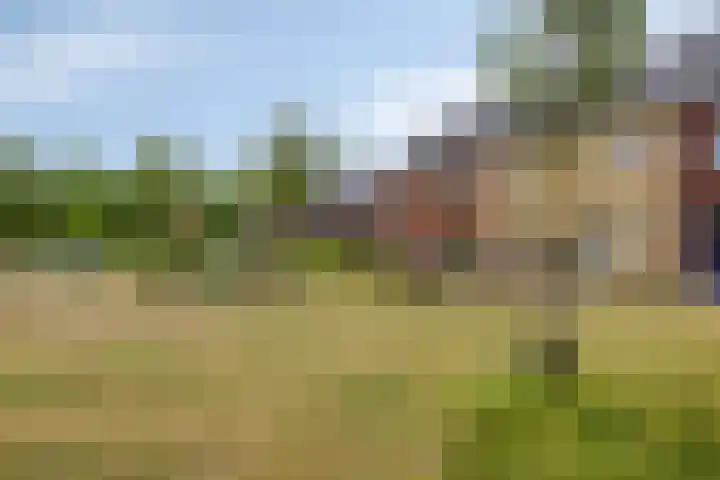 De Veste 11 8 Lelystad thumbnail 6