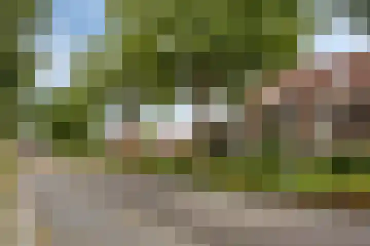 De Veste 11 8 Lelystad thumbnail 9