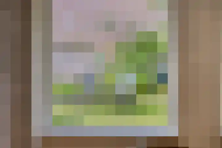 De Veste 11 Doesburg thumbnail 16