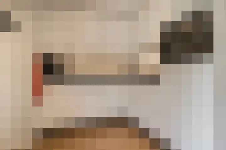 De Veste 11 Doesburg thumbnail 17