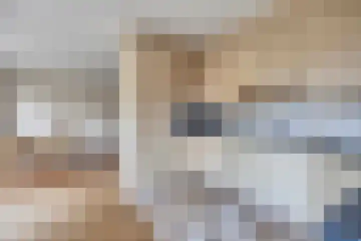 De Veste 11 Doesburg thumbnail 18