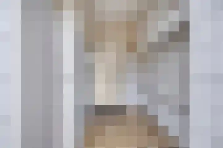 De Veste 11 Doesburg thumbnail 19