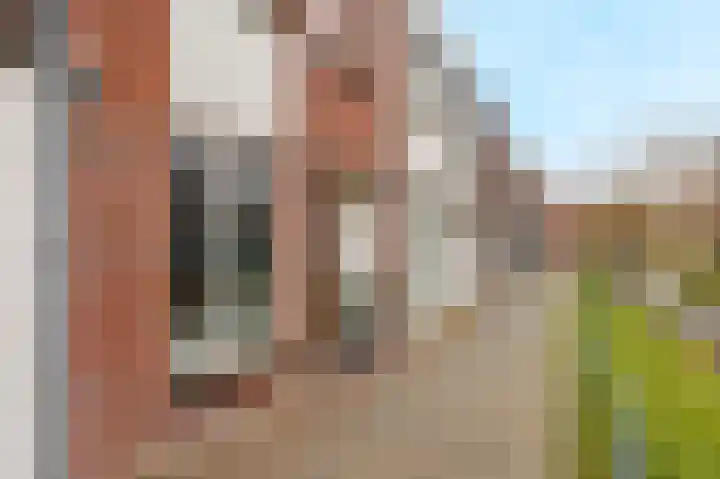 De Veste 11 Doesburg thumbnail 22