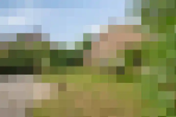 De Veste 11 Doesburg thumbnail 29