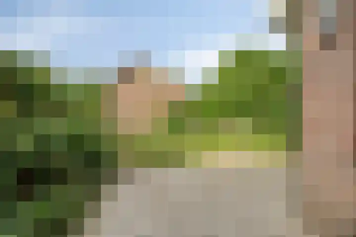 De Veste 11 Doesburg thumbnail 30