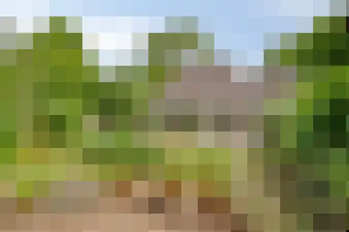 De Veste 11 Doesburg thumbnail 32