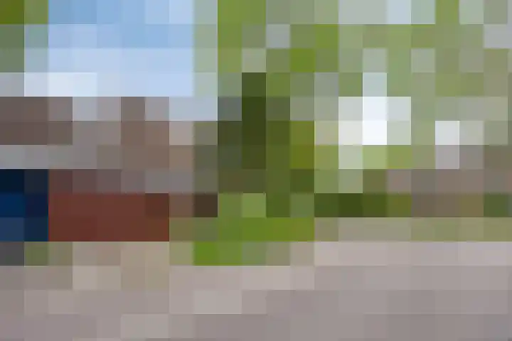 De Veste 11 Doesburg thumbnail 7