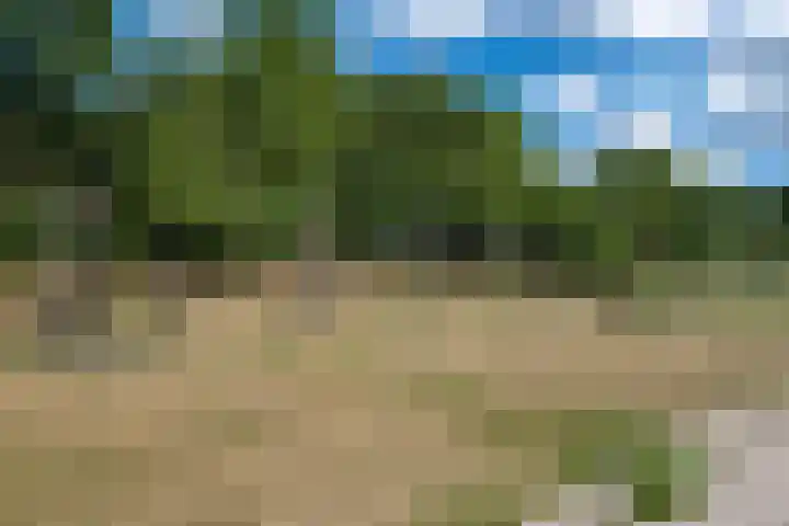 De Veste 12 12 78 Lelystad thumbnail 26