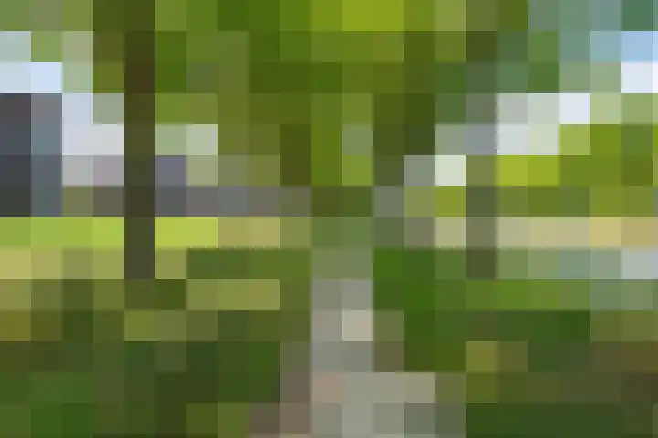 De Veste 12 12 78 Lelystad thumbnail 31